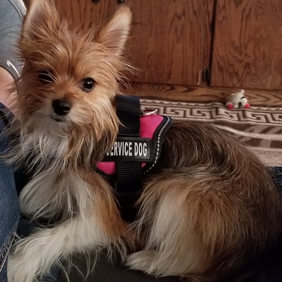 Meet your Posher, Denise - Picture 1 of 1